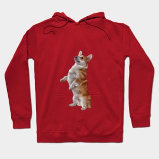 Drawing Dog Welsh Corgi Hoodie